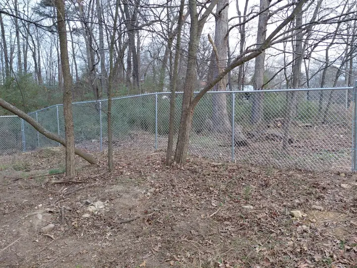 Galvanized chain link fence through a wooded lot in Unionville, NC